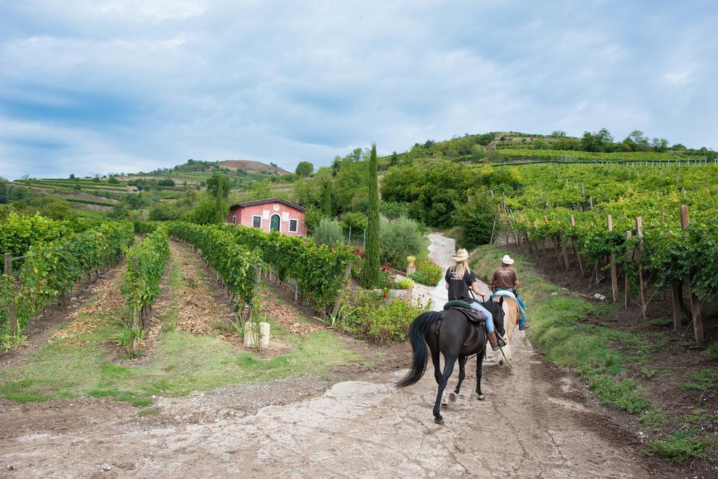 Casa Costa Relais B&B Monteforte dʼAlpone Buitenkant foto